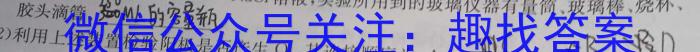 【精品】学林教育 2024年陕西省初中学业水平考试·名师导向模拟卷(一)1化学