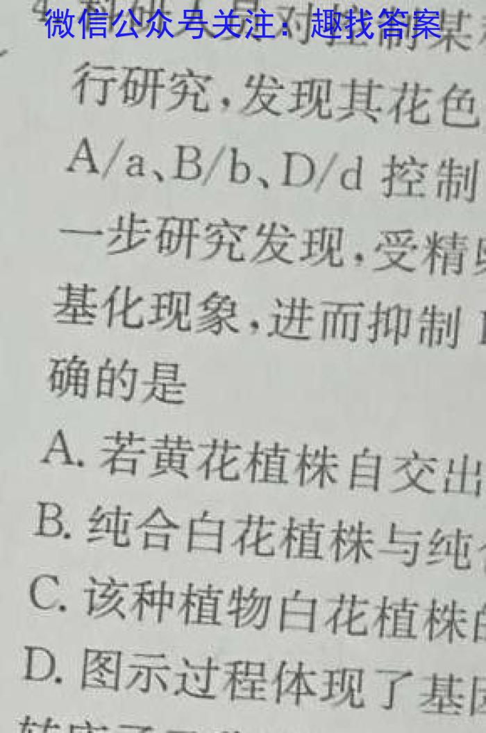 河南省南阳市唐河县2024年中考模拟试卷（二）数学