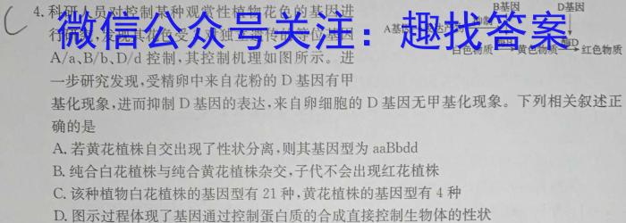 安徽省2023-2024学年度九年级阶段诊断（四）生物学试题答案