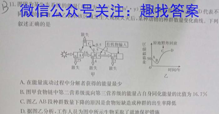 天一小高考2024-2025学年(上)高三第一次考试数学