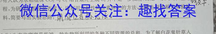 高2024届[南充二诊]四川省南充市高考适应性考试(二诊)数学