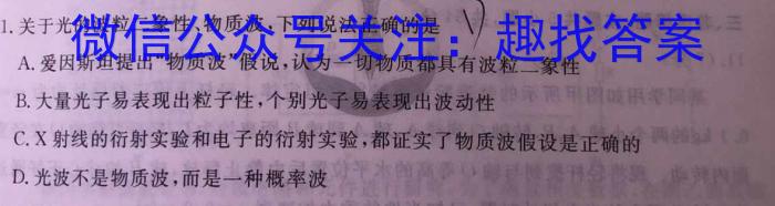 2024年河池市普通高中毕业班适应性模拟测试（5月）h物理