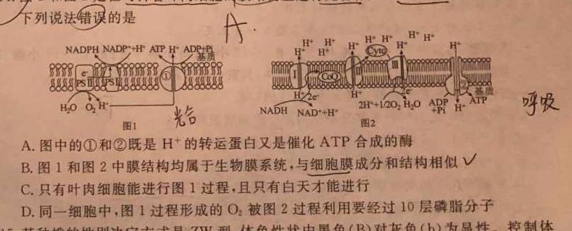 广西2024年春季期高中一年级期中教学质量检测(24-458A)生物