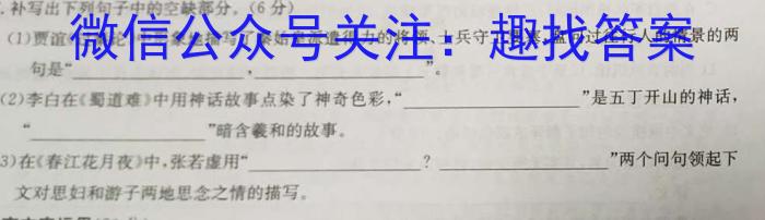 学林教育 2024年陕西省初中学业水平考试·全真模拟卷(一)1语文