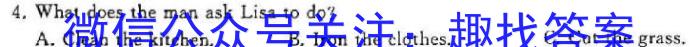 陕西益卷2024年陕西省初中学业水平考试全真模拟(二)英语