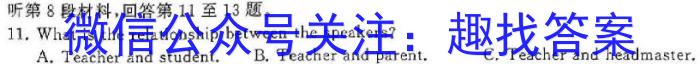 浙江省温州市瑞安市2024-2025学年九年级上学期学习品质调查试卷英语