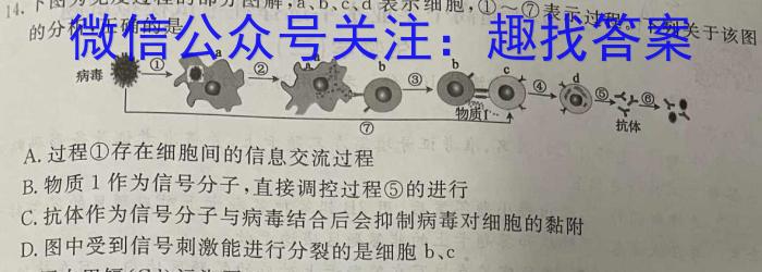 安徽省2024-2025学年九年级上学期教学质量调研一(无标题)生物学试题答案