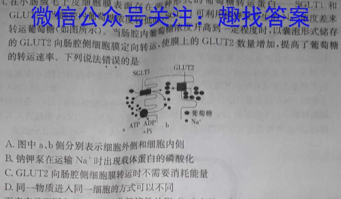 沈阳市2023-2024(下)联合体高二期中检测生物学试题答案