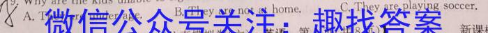 四川省名校联盟2024-2025学年上学期高三第一次联考英语