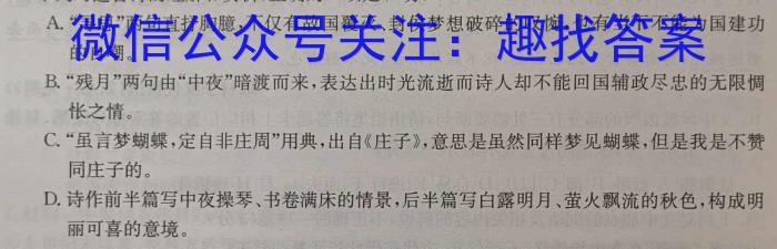 安徽省宿州市省、市示范高中2023-2024学年度高一第二学期期中教学质量检测语文