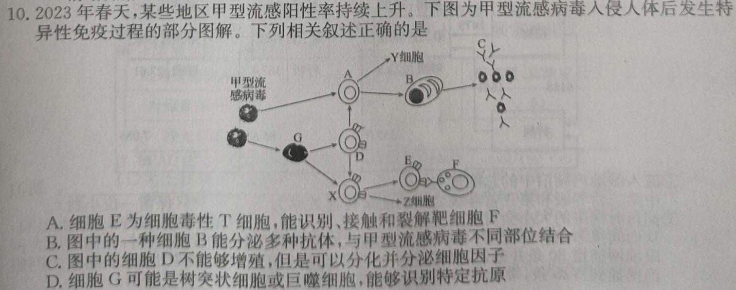 2025届安徽省高三摸底大联考W（8月）生物