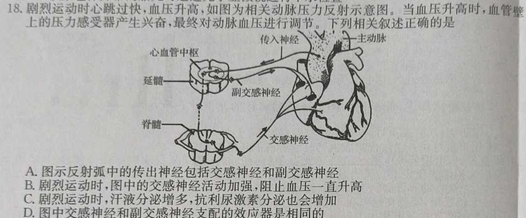 2024年河南省普通高中招生考试模拟试卷（导向一）生物学部分