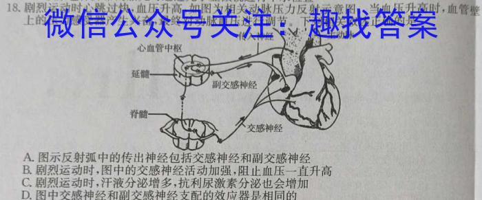 2024届黑龙江高三考试试卷4月联考(⇧)生物