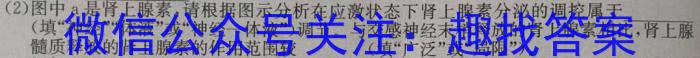 2023-2024学年吉林省高二试卷5月联考(正方形包菱形)生物学试题答案