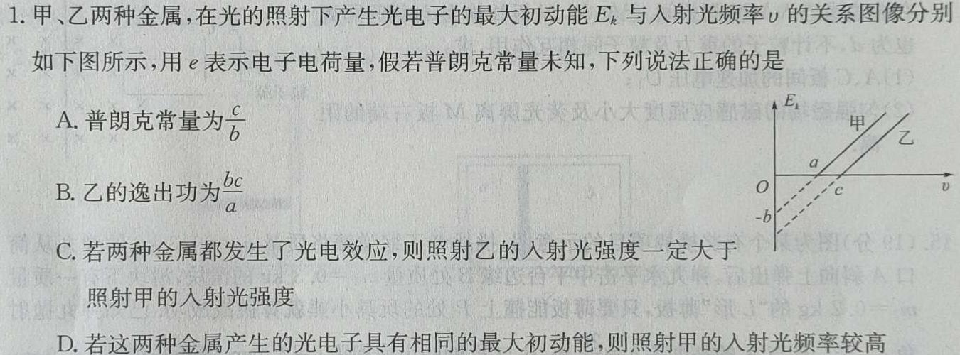 蒙城县2023-2024年度八年级第二学期义务教育教学质量检测(2024.6)(物理)试卷答案