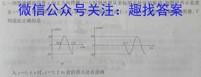 河北省NT2023-2024学年第二学期高三年级收心考试物理试卷答案