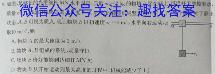 2024年普通高等学校招生全国统一考试 名校联盟 模拟信息卷(T8联盟)(六)物.理