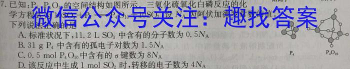 湖南省2024届高三冲刺压轴大联考化学