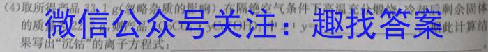 2024届安阳市高三第二次模拟考试化学