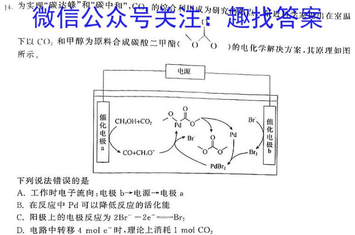 上进联考2023-2024学年高三5月高考适应性大练兵联考化学