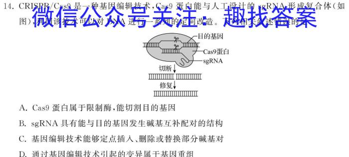 江西省2024年初中学业水平考试样卷试题卷（四）生物学试题答案