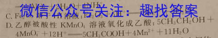 安徽省合肥38中2023/2024学年度第二学期八年级期中考试化学