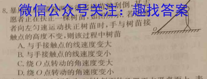 2024年河南省实验中学第二次学情调研q物理