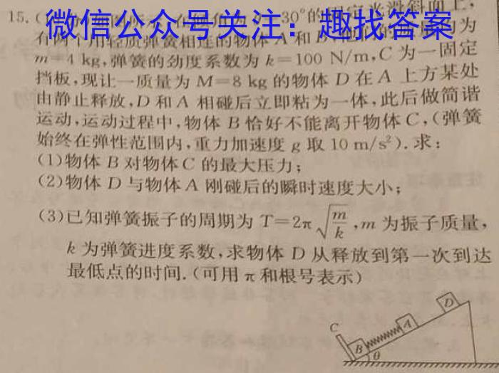 安徽省2024年中考模拟示范卷（五）物理`