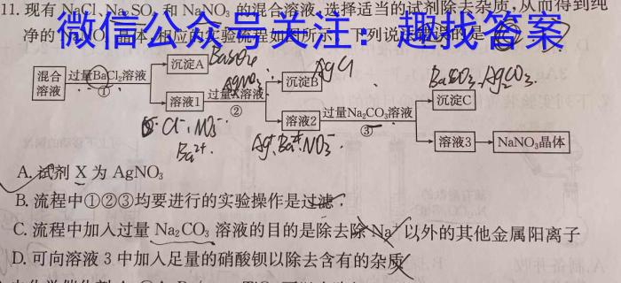 32024届安徽省界首市第五中学九年级第一次模拟试卷化学试题