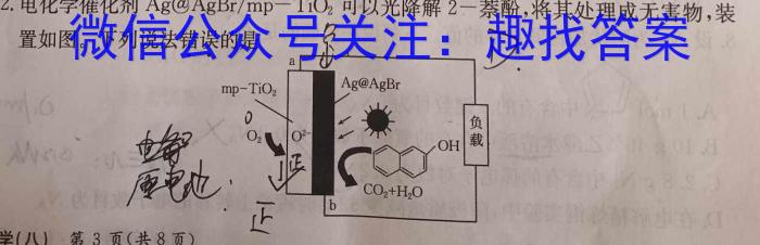 【精品】1号卷 A10联盟2023级高一下学期4月期中考化学