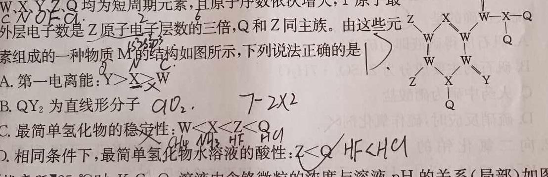 1衡水金卷先享题·月考卷·2024-2025学年度上学期高三年级一调考试化学试卷答案