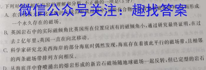 2024年河南省普通高中毕业班高考适应性练习/语文