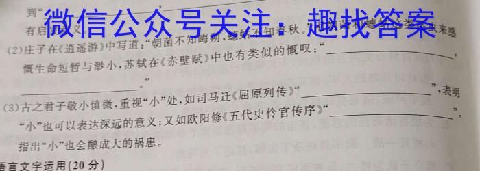 湖北省襄阳市优质高中2024届高三联考/语文