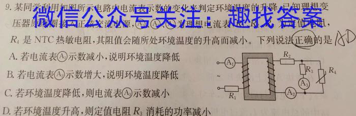 河北省邯郸市2024年初三毕业班4月模拟检测物理