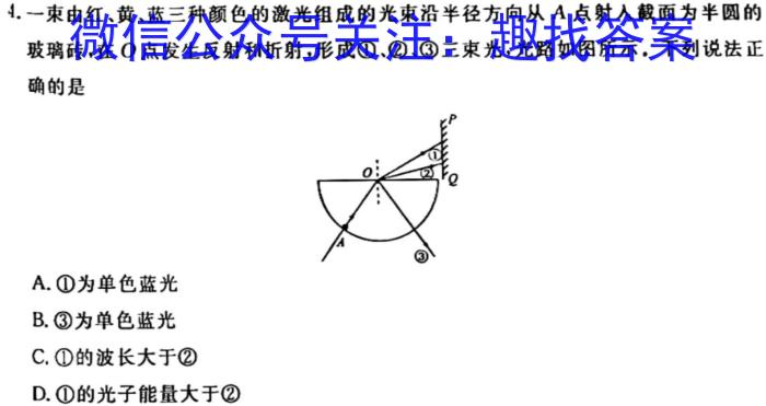 上进联考·稳派大联考2023-2024学年江西省高三年级下学期4月联考h物理