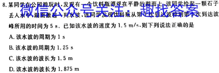 2024-2025学年度上学期广东省部分学校高三新起点模拟考试（8月）物理试卷答案