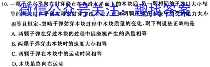 2024届陕西省西工大附中九年级第八次适应性训练[24-8]物理试题答案