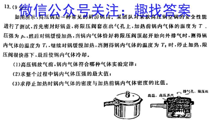 河南省部分学校2024年九年级一模考试物理