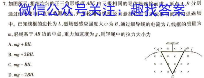 安徽省2024年九年级学业水平测试模拟（二）物理`