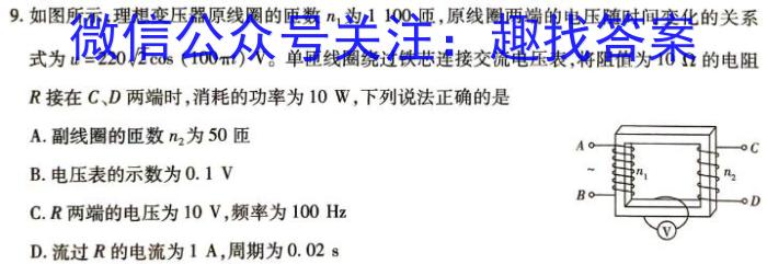 河北省2024年九年级模拟考试物理试题答案