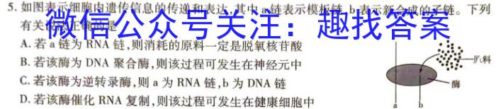 陕西师大附中2023-2024学年度初三年级第五次适应性训练(5月)生物学试题答案