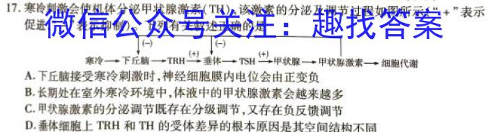 2024届炎德英才大联考长沙市一中高三月考试卷(八)生物学试题答案