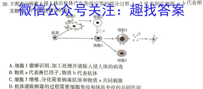 2024届学普试卷信息调研版 高三第一次生物学试题答案