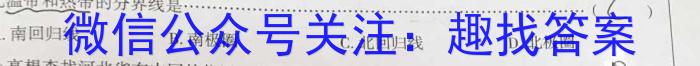 2024年九年级6月模拟(三)地理试卷答案