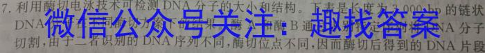 武汉外国语学校2023-2024学年度高二下学期期末考试生物学试题答案