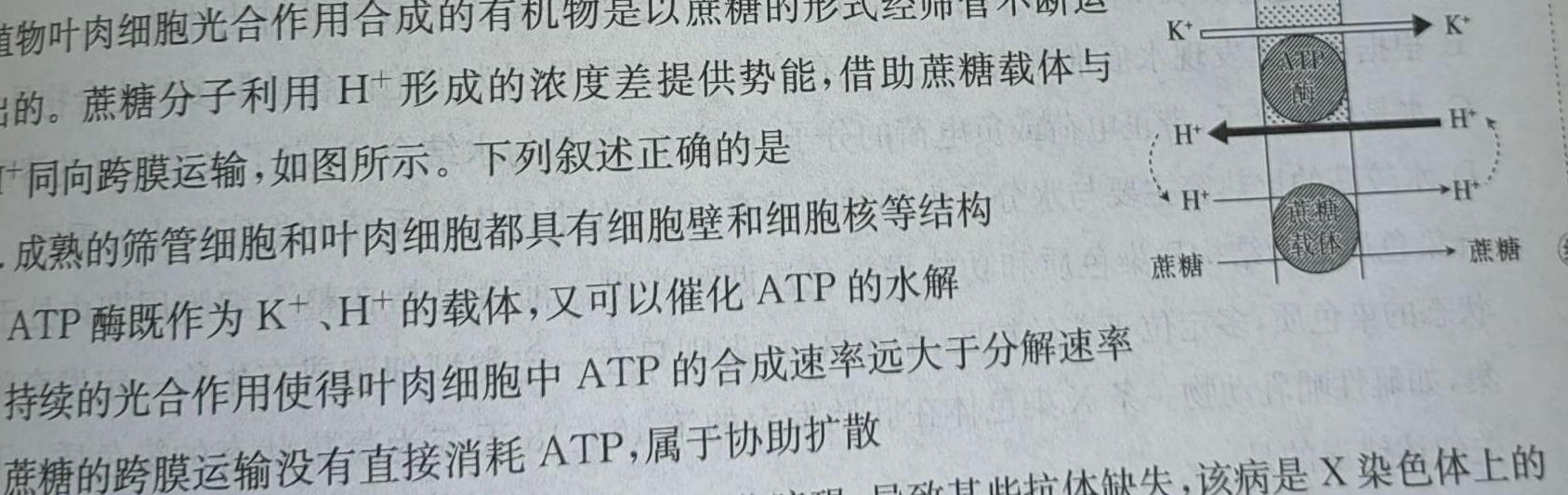 思博教育·河北省2024-2025学年度九年级第一学期第一次学情评估生物