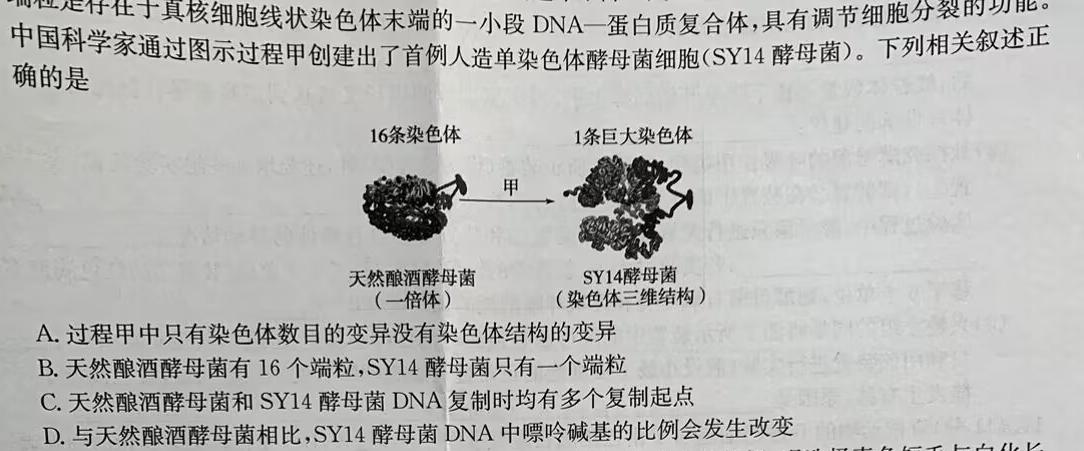 山西省第十九中学2024-2025学年上学期高一入学考试生物