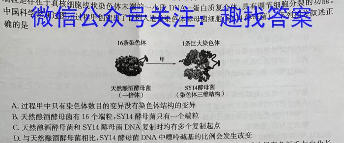 河南省2024年八年级学业水平调研抽测（6月）生物学试题答案