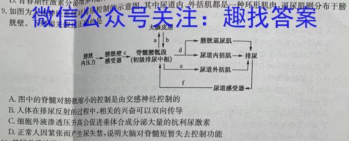 河北省2024-2025学年高二年级七月份考试(25-03B)生物学试题答案