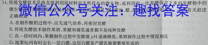 安徽省2023-2024学年度八年级下学期阶段第五次月考生物学试题答案